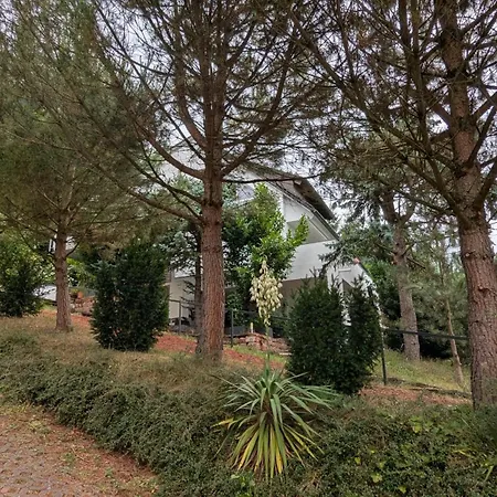 Nord 37 Apartment Annweiler am Trifels