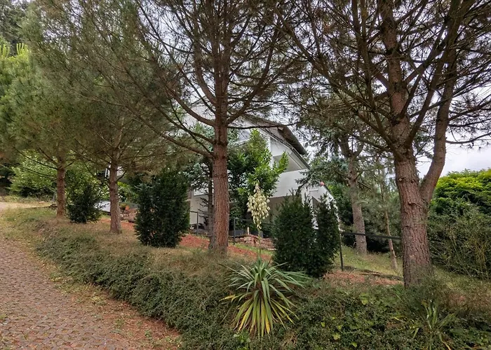 Nord 37 Apartment Annweiler am Trifels